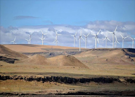 PAN AMERICAN ENERGY